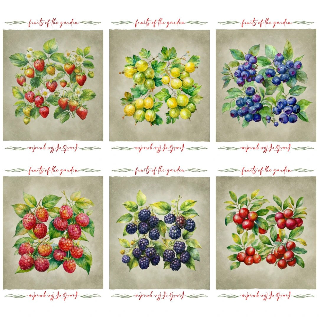 Set di 6 strofinacci con stampa digitale art. Tiffany 24 - Vingi