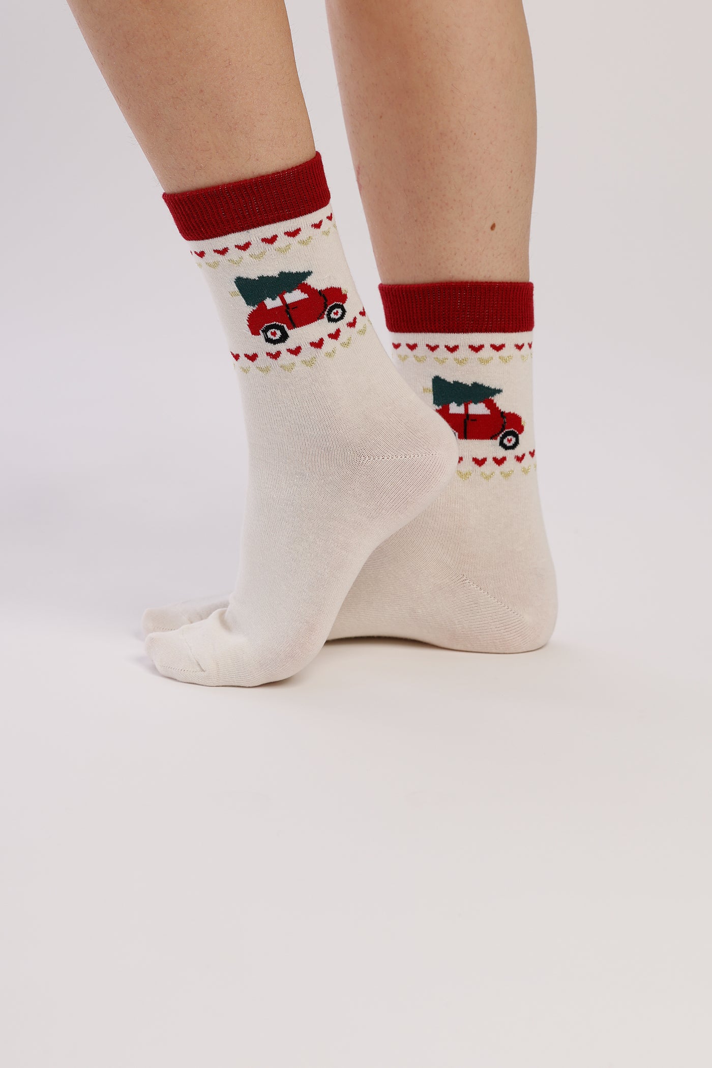 Calzini in caldo cotone CAR - art. TR1236 - Noidinotte